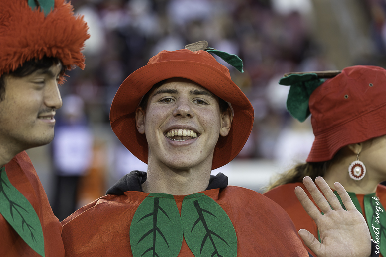 stanford football 2025